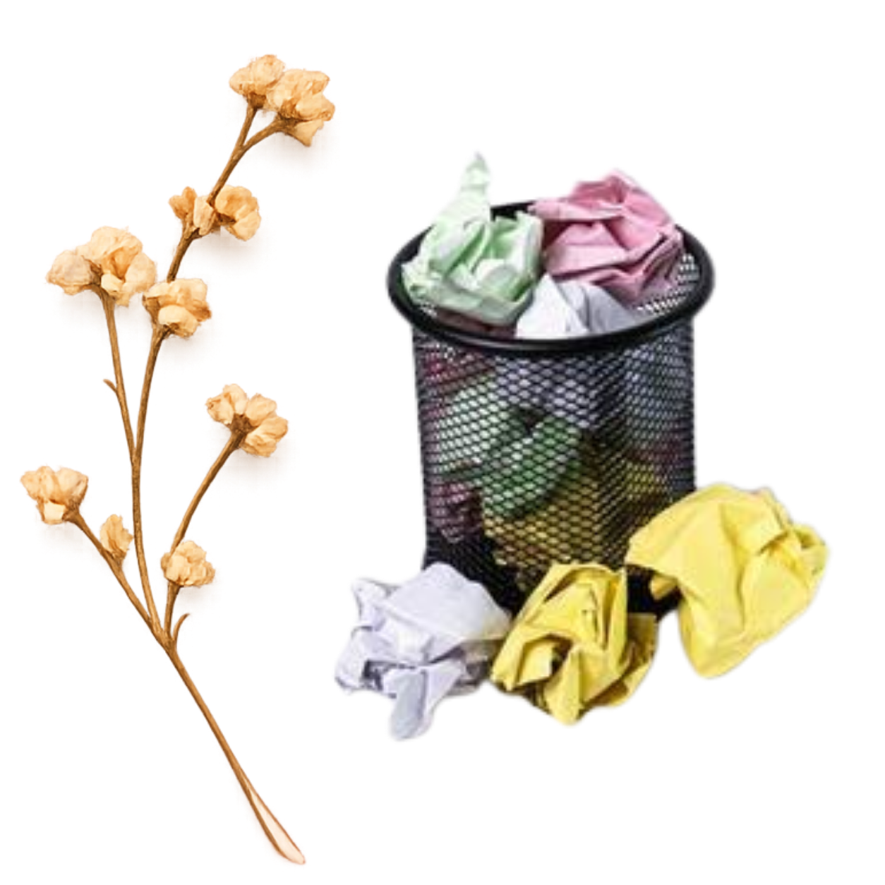 Waste